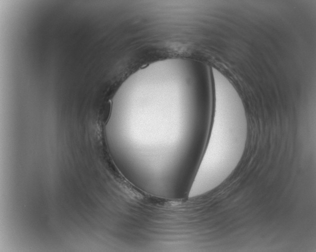 X0000070820613200606160917