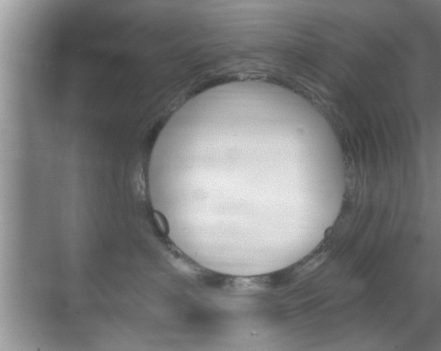 X0000070820622200606160917