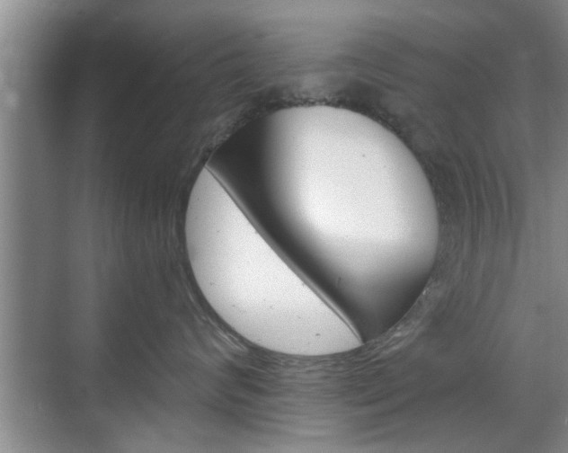 X0000070820624200606160917