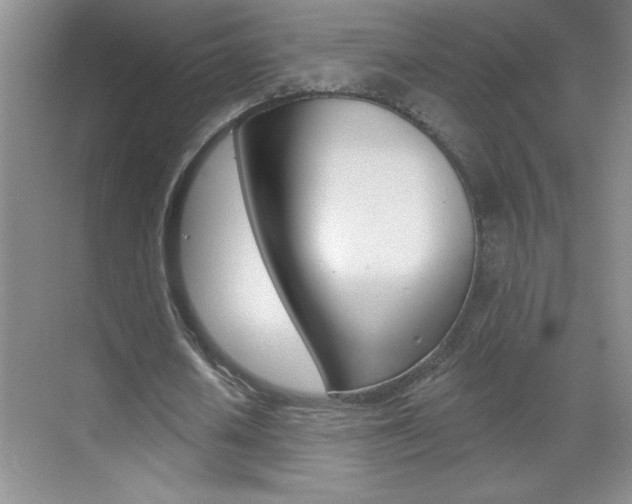 X0000070820626200606160916