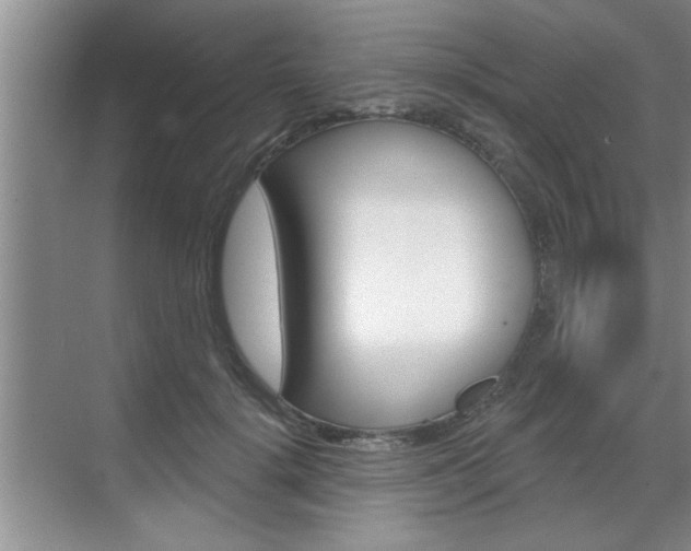 X0000070820652200606160917