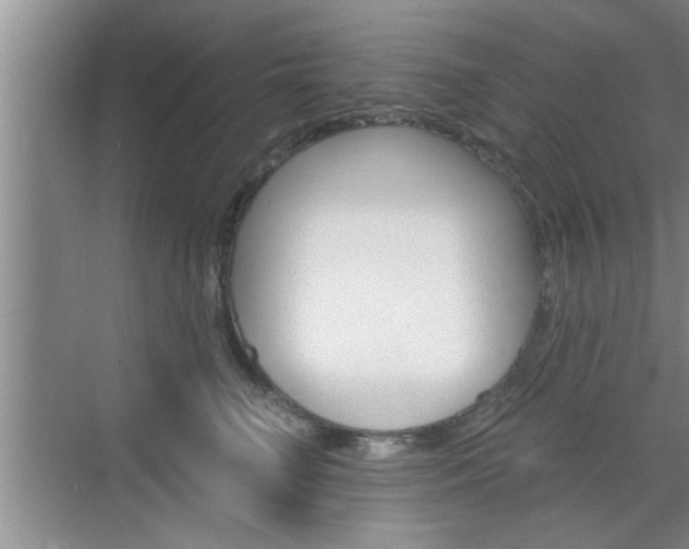 X0000070820662200606160917