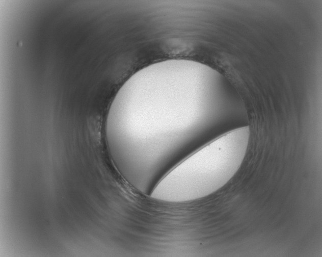 X0000070820664200606160917
