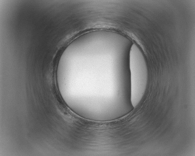 X0000070820675200606160916