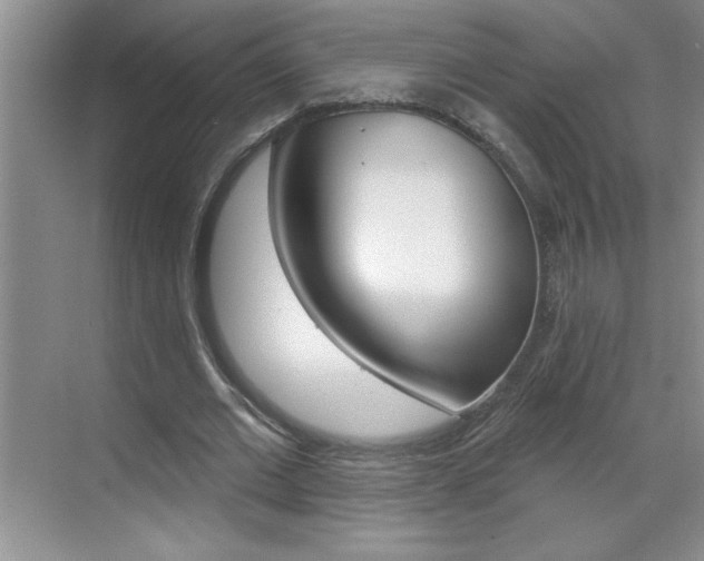 X0000070820677200606160916