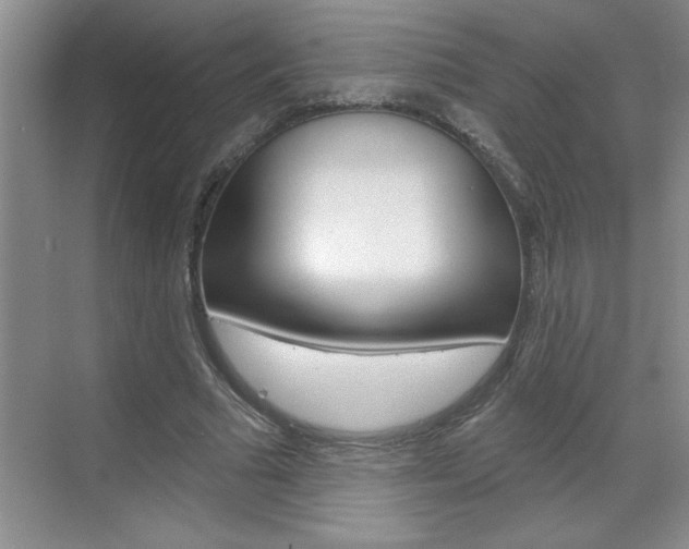 X0000070820681200606160916