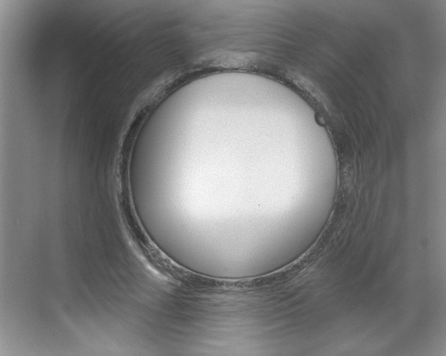 X0000070820682200606160916