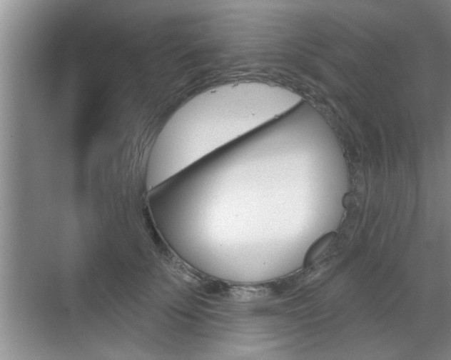 X0000070820707200606160916
