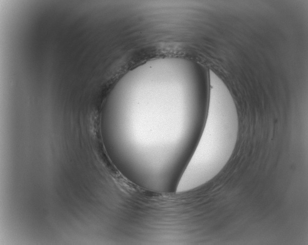 X0000070820712200606160916