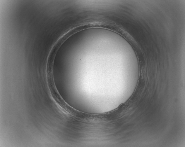 X0000070820722200606160915