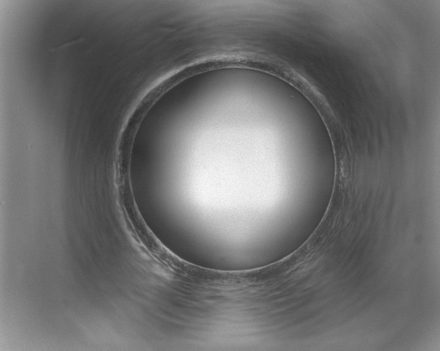 X0000070820724200606160915