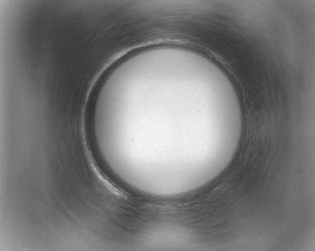 X0000070820726200606160915
