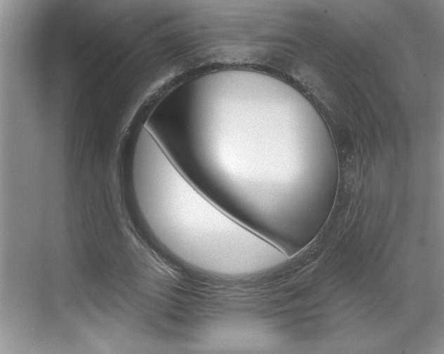 X0000070820727200606160915