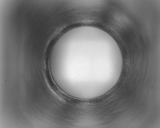 X0000070820734200606160915
