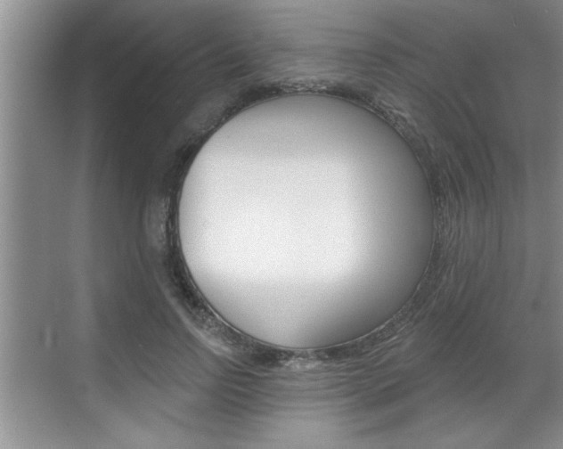 X0000070820742200606160915