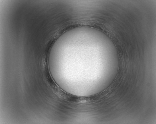 X0000070820746200606160915