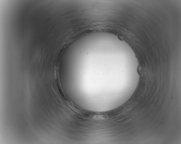 X0000070820751200606160915