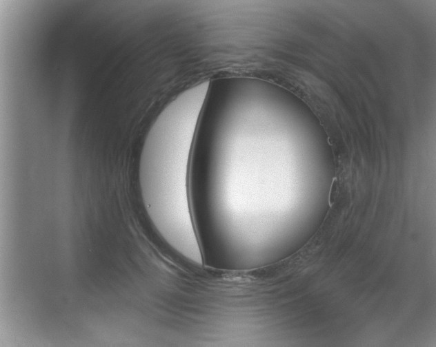 X0000070820752200606160915