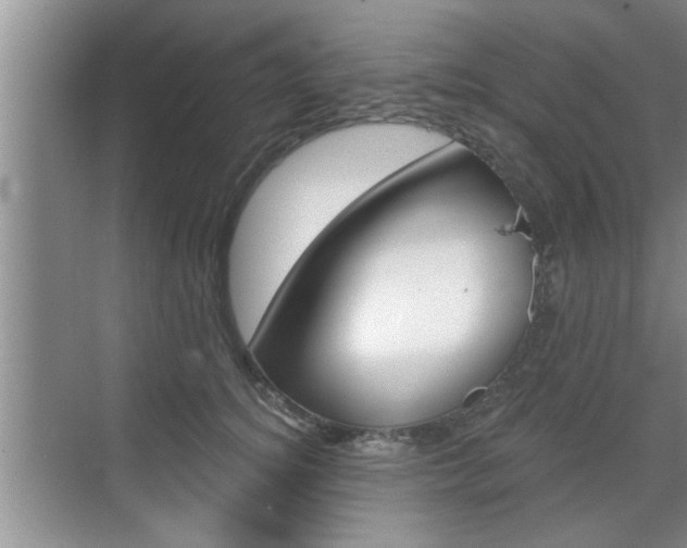 X0000070820756200606160915