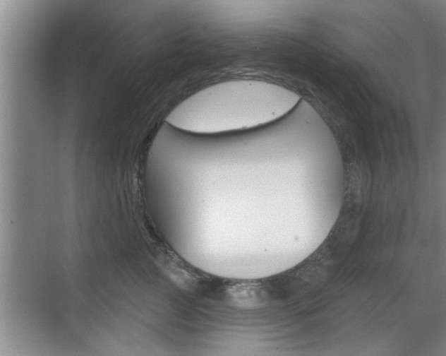 X0000070820761200606160915