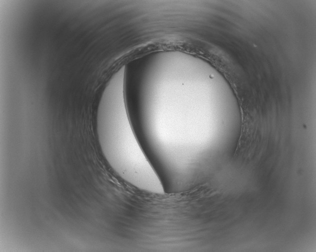 X0000070820773200606160915