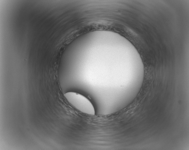 X0000070820774200606160915