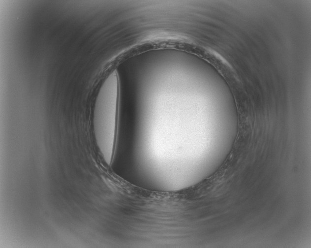 X0000070820775200606160915