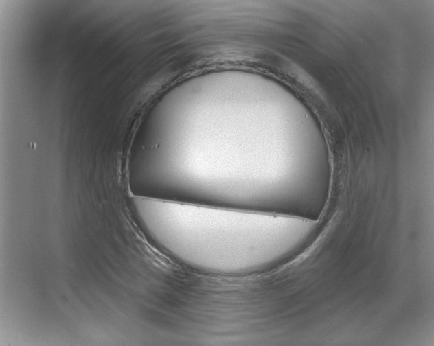 X0000070820777200606160914