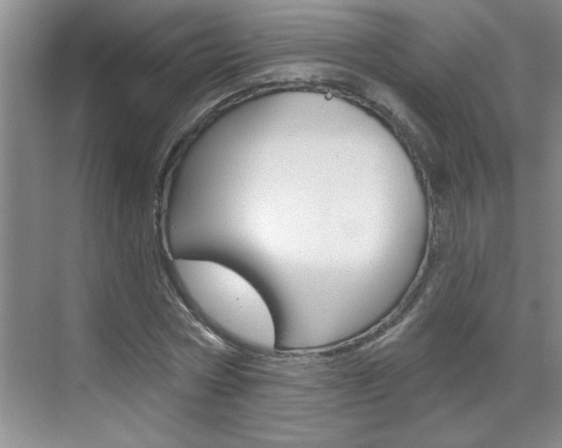 X0000070820778200606160914