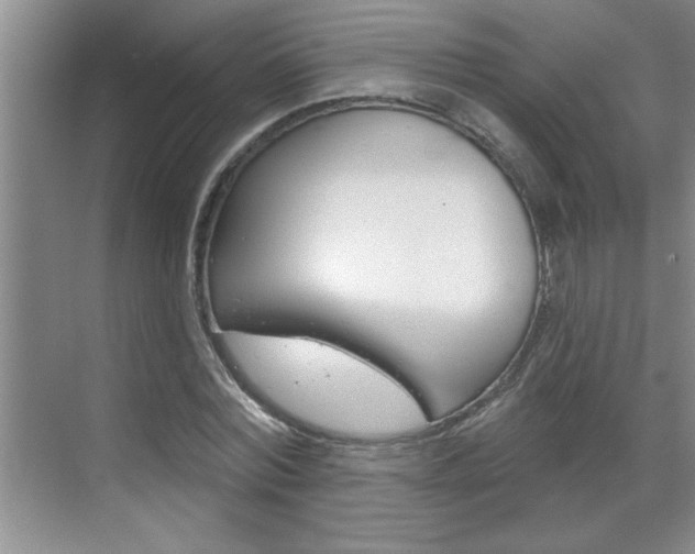 X0000070820780200606160914