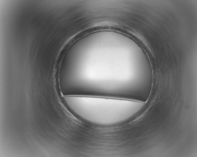 X0000070820783200606160914