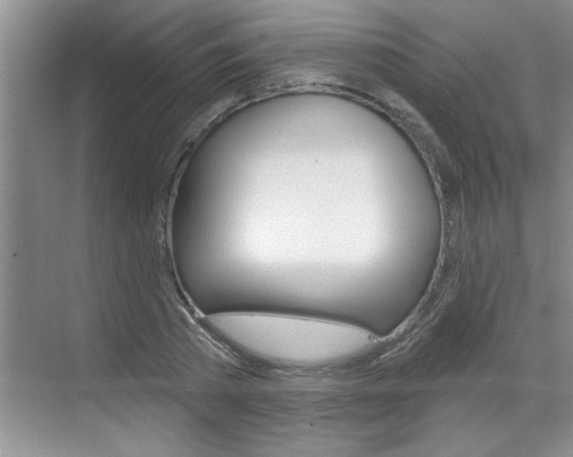 X0000070820785200606160914