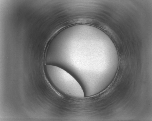 X0000070820794200606160914