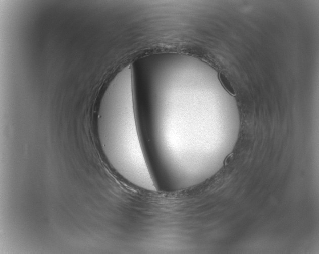 X0000070820817200606160913