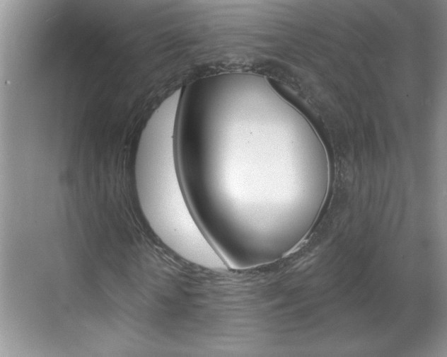 X0000070820818200606160913