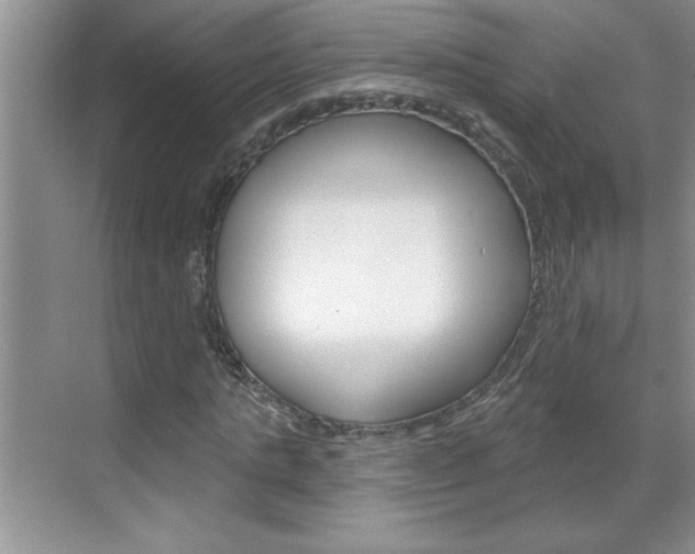 X0000070820821200606160913
