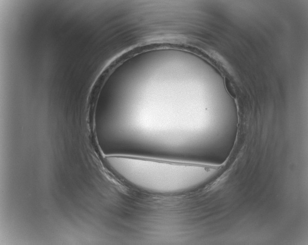X0000070820830200606160913