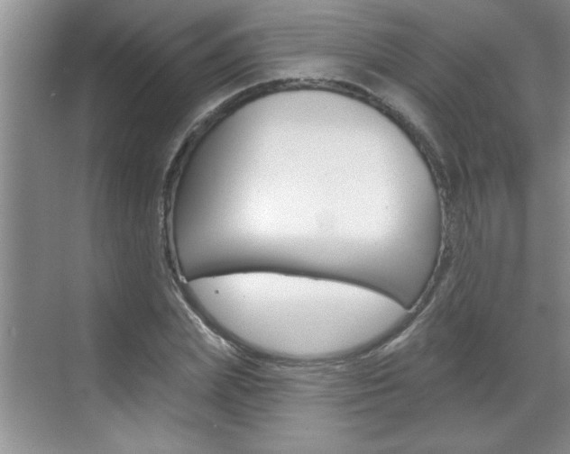 X0000070820831200606160913