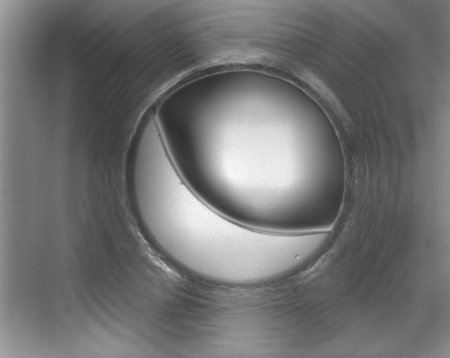 X0000070820834200606160913
