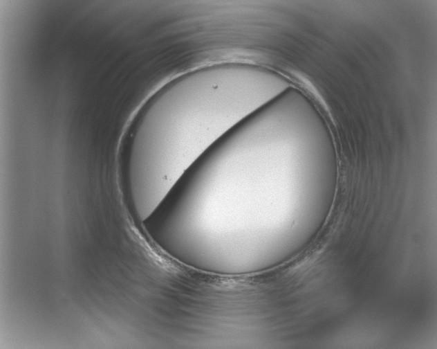 X0000070820835200606160913