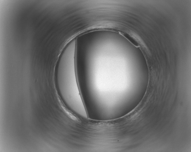 X0000070820842200606160913