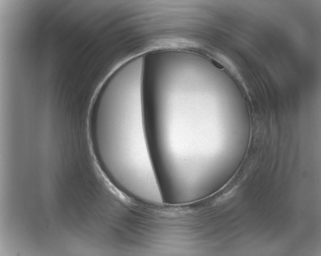 X0000070820843200606160913