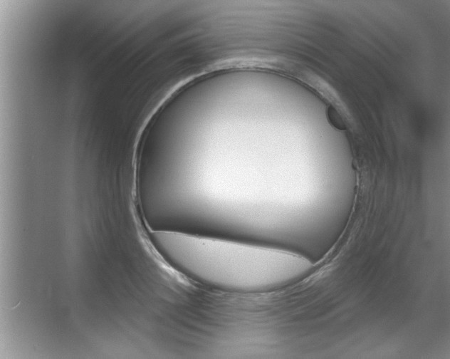 X0000070820844200606160913