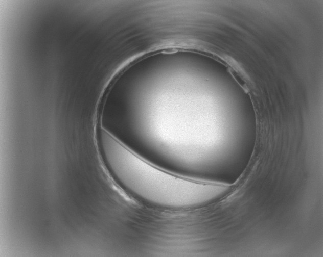X0000070820846200606160914