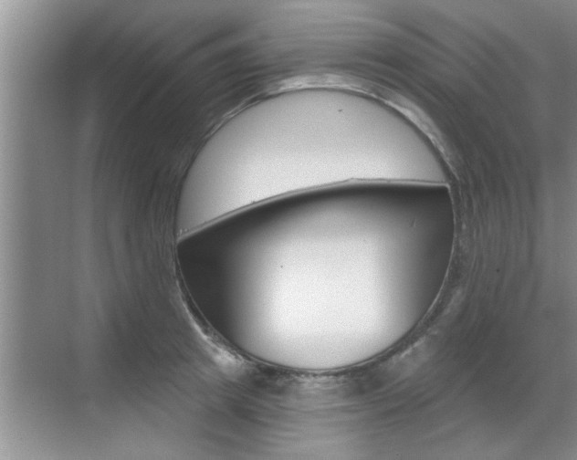 X0000070820849200606160914