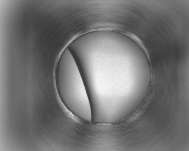 X0000070820859200606160914