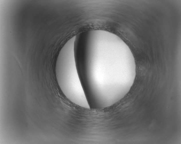 X0000070820865200606160913