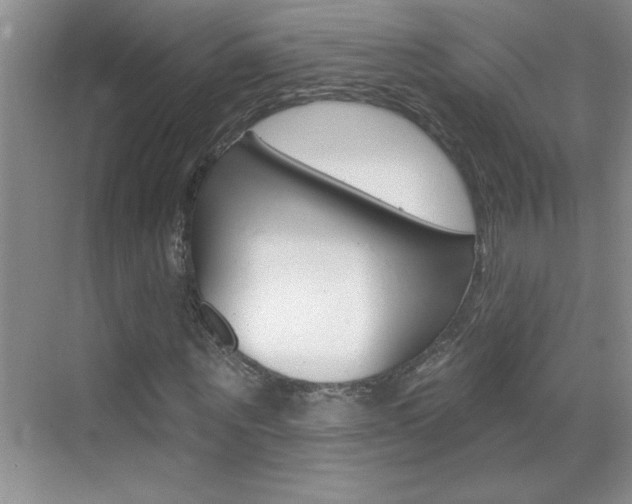X0000070820867200606160913
