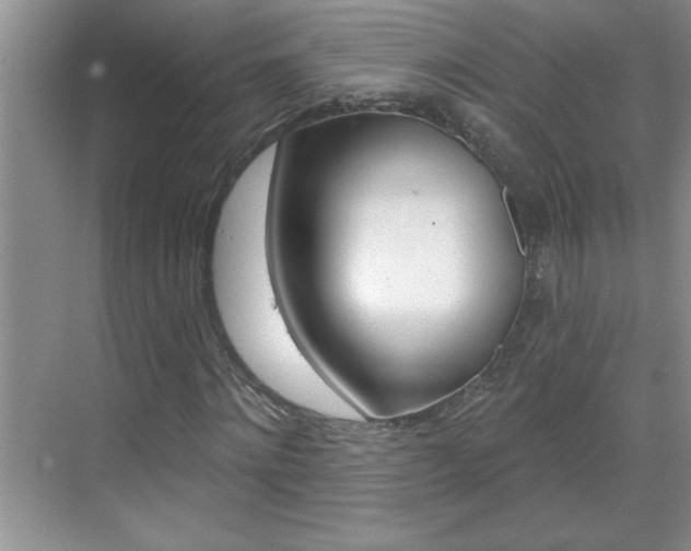 X0000070820868200606160913