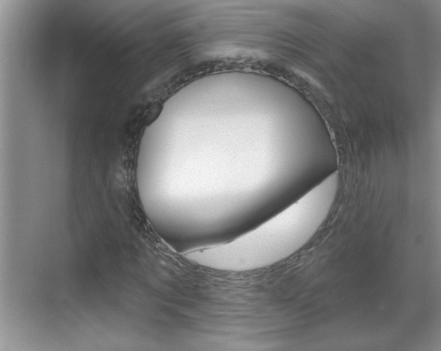 X0000070820869200606160913